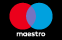 pay with maestro card