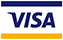 pay with visa card